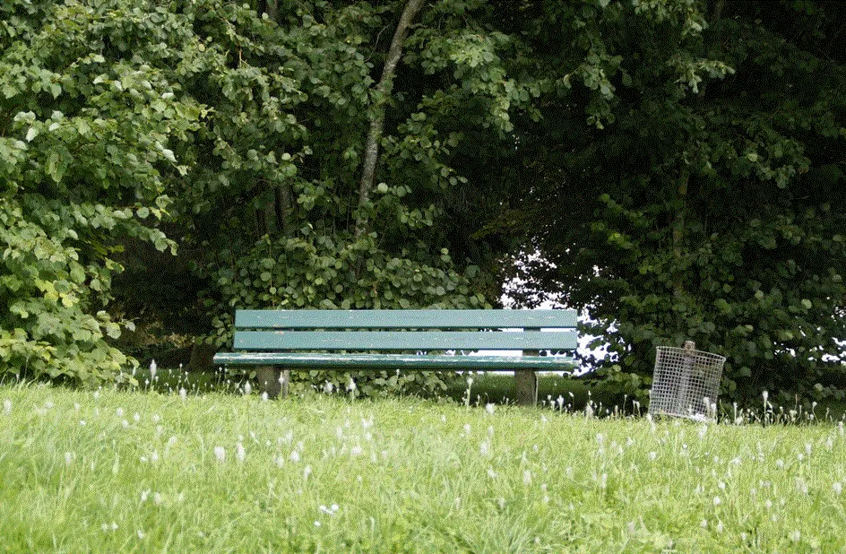 Illustrasjon — Vakker, klassisk Arnberg-villa vurderes solgt Abbedisvingen